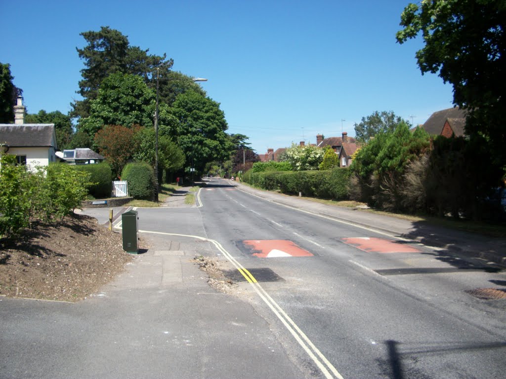 Cliddesden Road by Robert'sGoogleEarthPictures