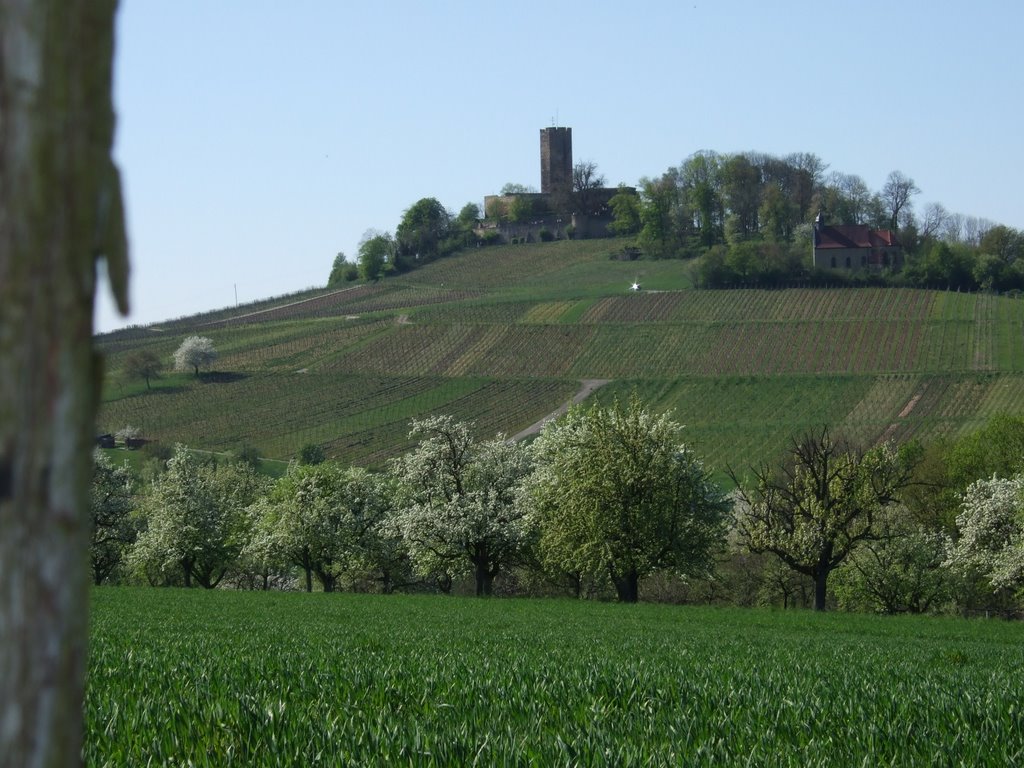 Ruine Steinsberg by axeluhl