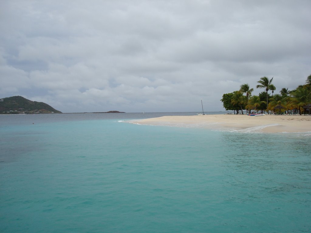 Palm Island beach by jah357