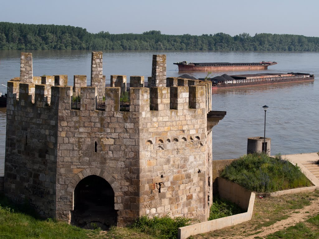 Szendrő vára / Smederevo Palanka / Smederevo Fortress by P_Taki