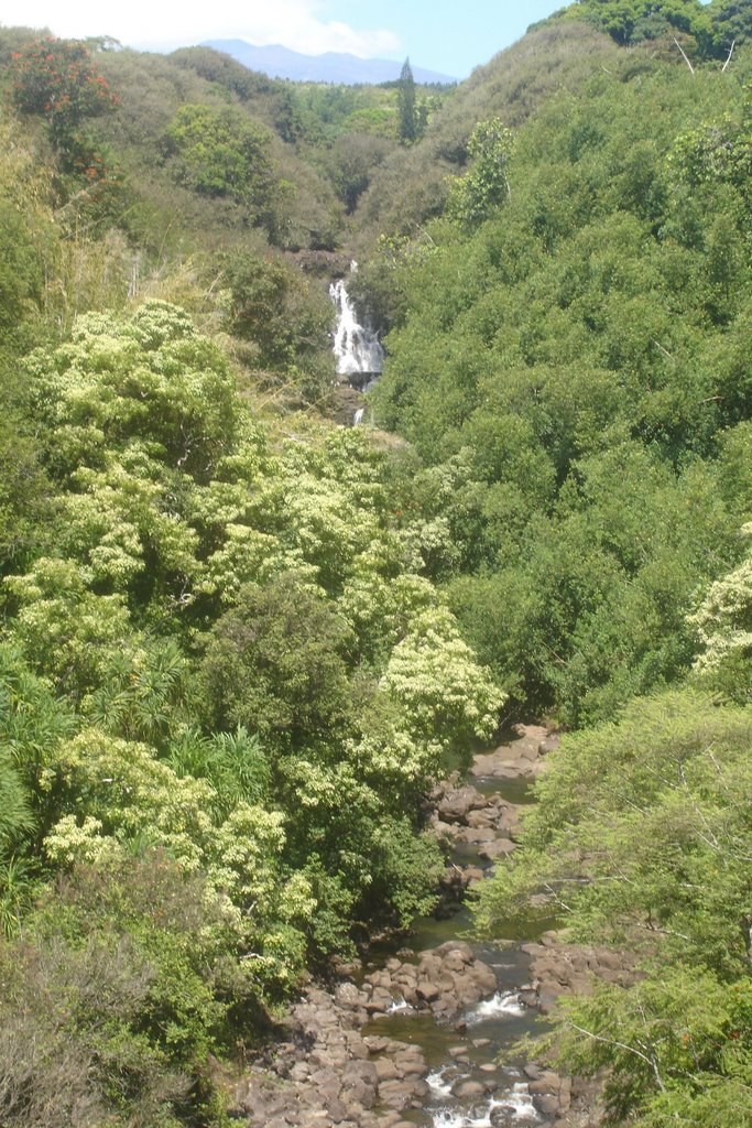 Lower Umauma Falls from Highway by ldeano