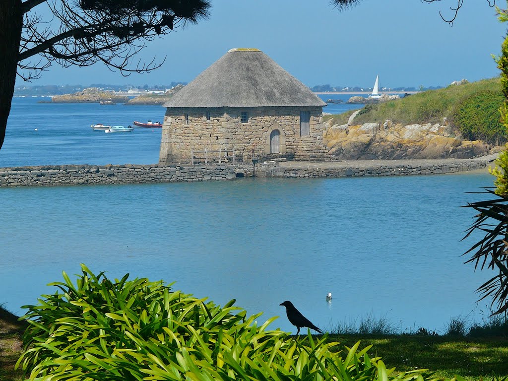 Ile-de-Bréhat : le moulin à marée de Birlot by JLMEVEL