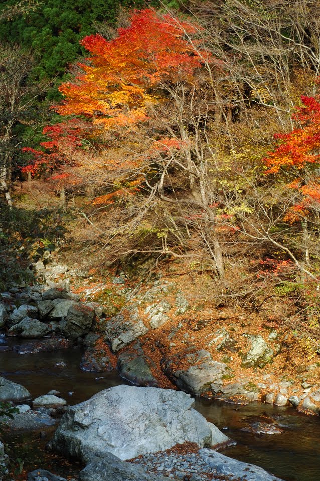 天川の秋 by shinsenkyo