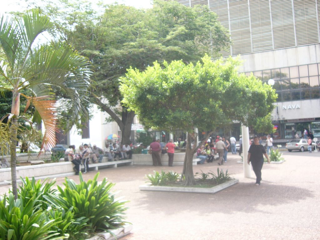 Plaza Bolivar, Maracaibo, Zulia, Venezuela by huraboma