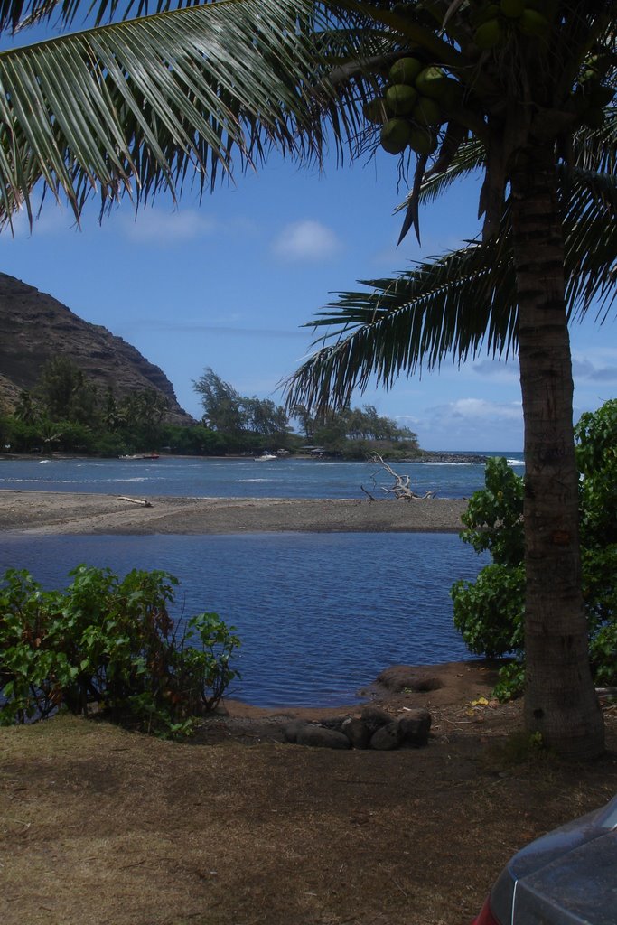 Halawa Valley beach by ldeano