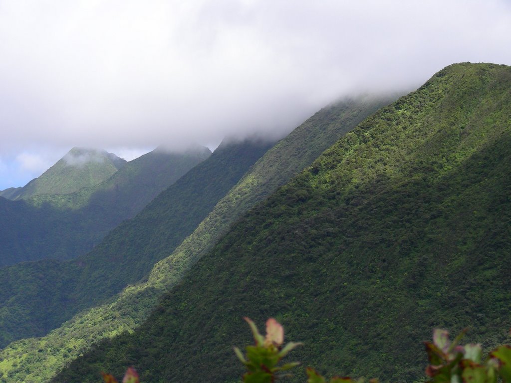 View of Molokai Valleys by ldeano