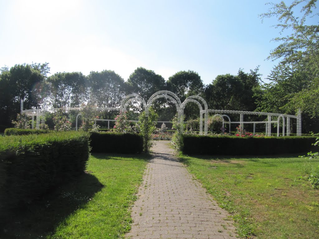 Rose garden in Stadspark Schothorst by Willem Nabuurs