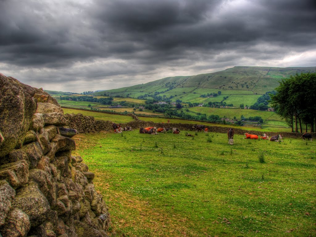 Hayfield - Snake Path by Rae Leeson