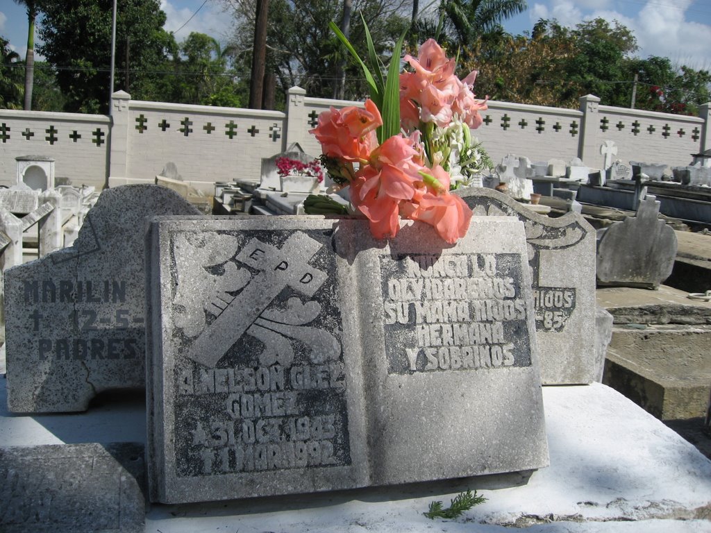 Tomas Acea Cementery Cienfuegos,Cuba by chivo1974