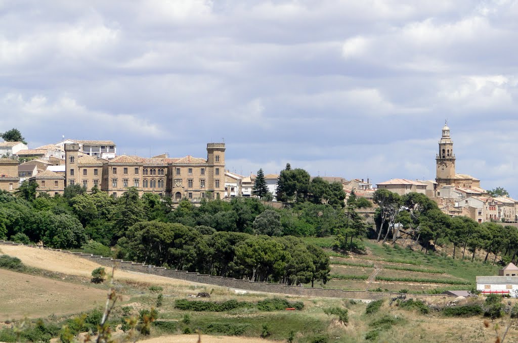 Palacio de la Vega e Iglesia Dicastillo by Benito Arizaleta