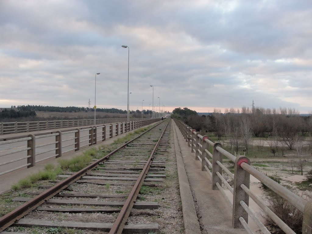 Vía sobre el puente by ivelbero