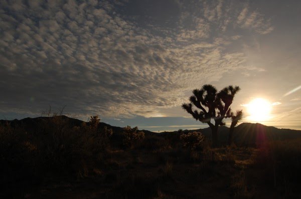 Yucca Valley, CA by thisisro