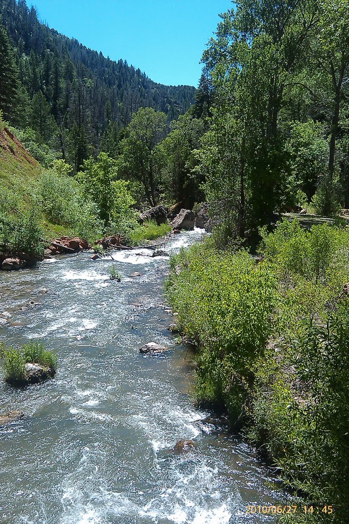 Bridge to diamond fork springs by Elsimer