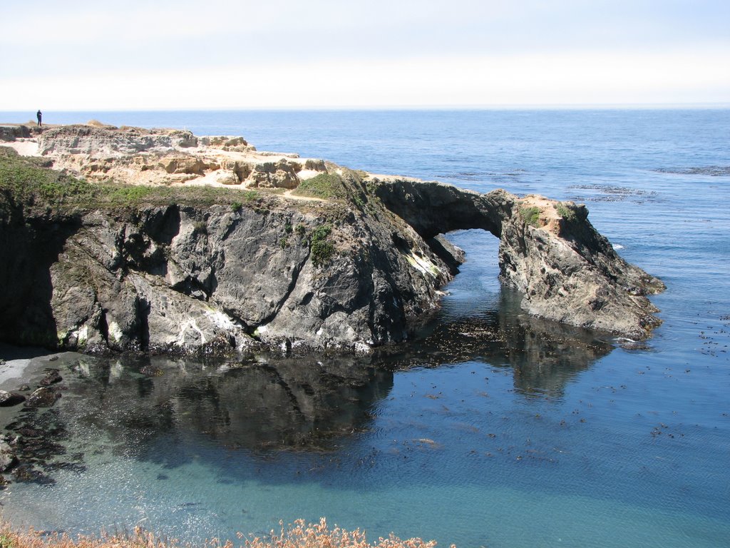 Mendocino Headlands by Darron Fick