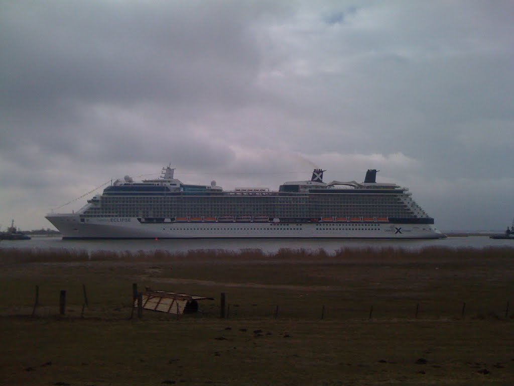 Celebrity Eclipse by C. S. Rose