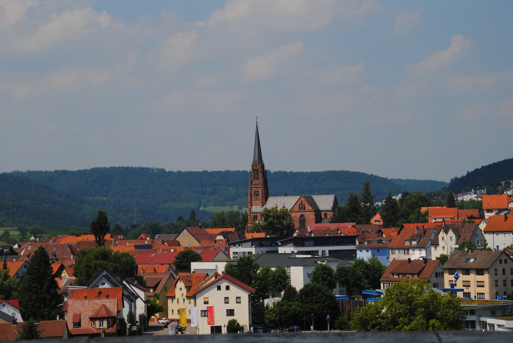 Blick auf Nagold vom Viadukt by Rainer M. Ritz