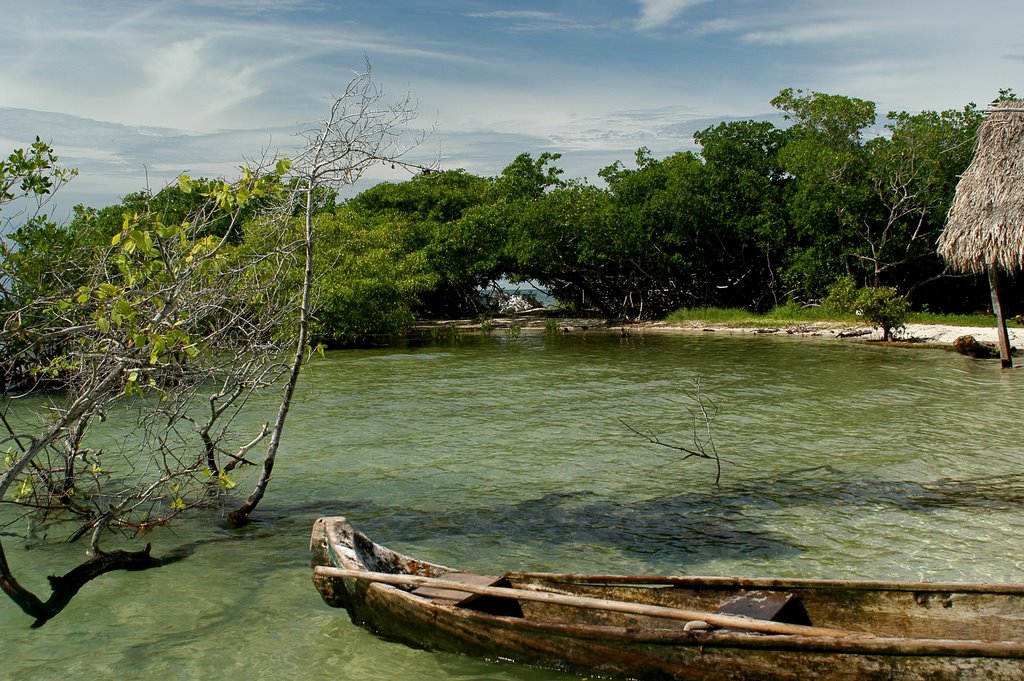 CHOLON,BARU by ALEJANDRO FACCINI