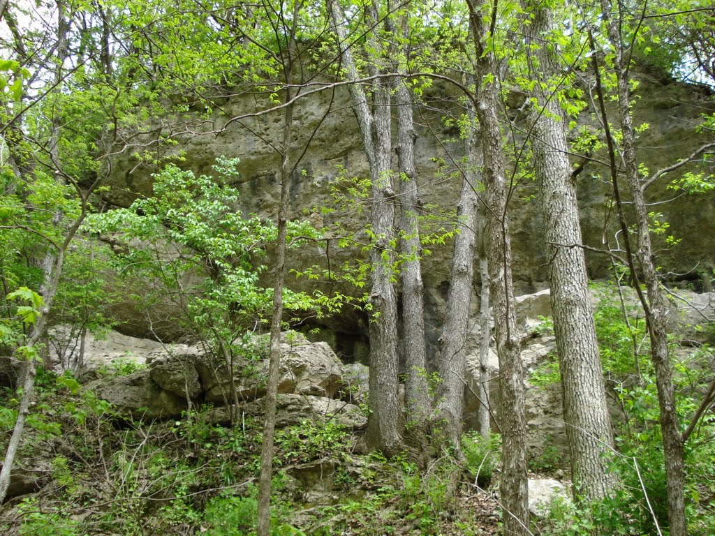 Limestone, Cliffs/Bluffs by iowajoe