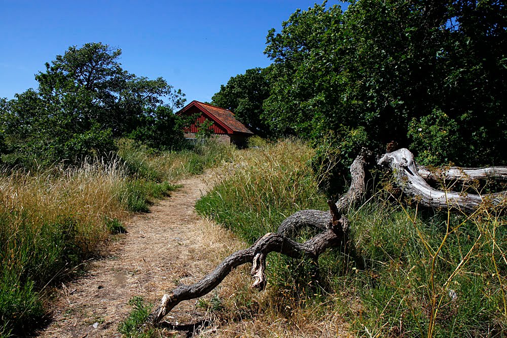 The northern point of Öland by fjallstal