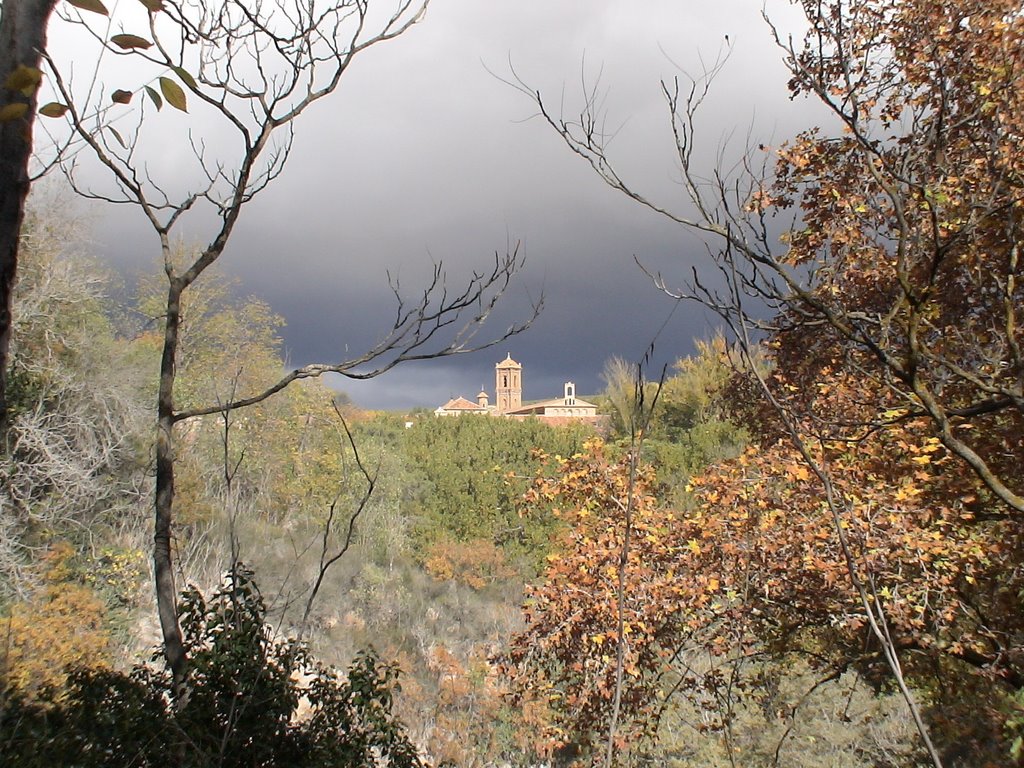 Vista Monasterio de Piedra by jlgonza80