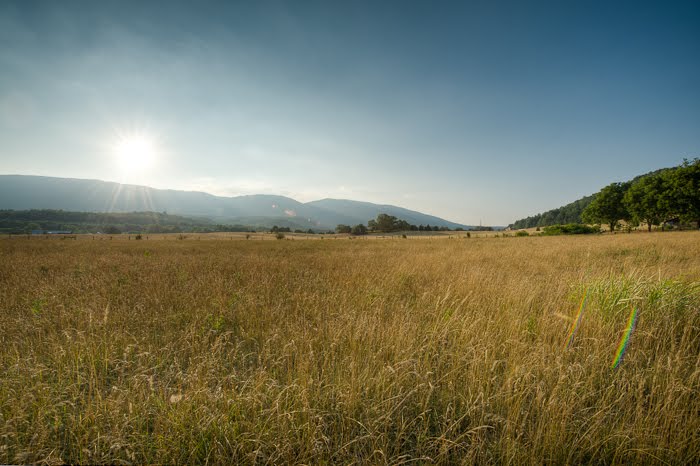 Locust Bottom Area by Jon Beard