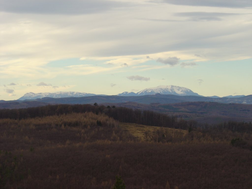 Schneeberg a Béke kilátóból by Bálint G