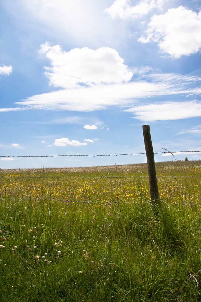 Barbed Fence by DavidF51