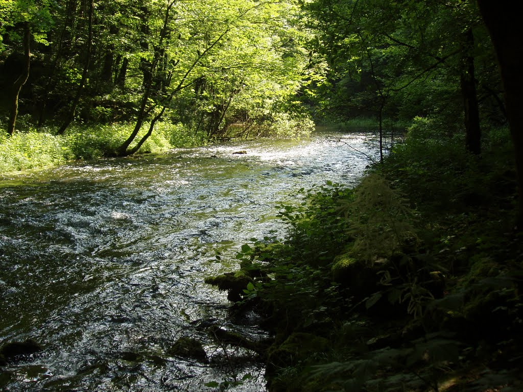 Rio Dei Gamberi - Rakov Skocjan by MarioTs