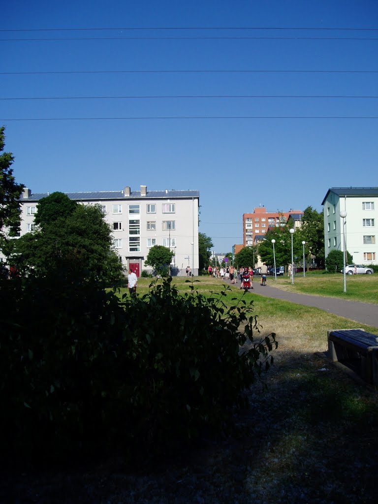 Hot summer in stroomi beach 2010 by juljetta72