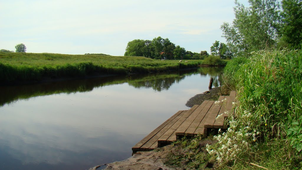 An/Ablegestelle im Seitenarm der Stör bei Wittenbergen by goldpicture