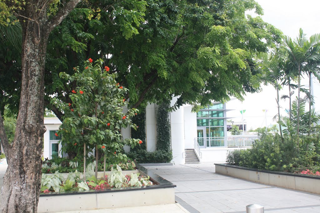 Plaza de la Convalecencia o Pedro Albizu Campos-Rio Piedras by Ricardo David Jusino