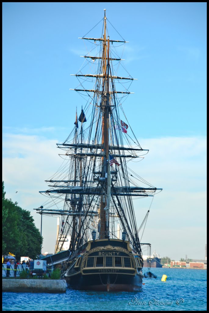 Tall Ships at Toronto Waterfront Festival by bluenose11