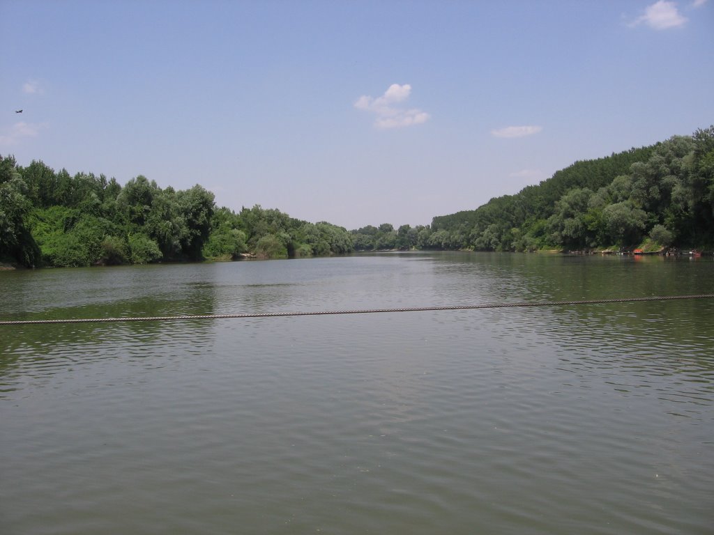 The view from the ferry / a Tisza a kompról by Ficz László