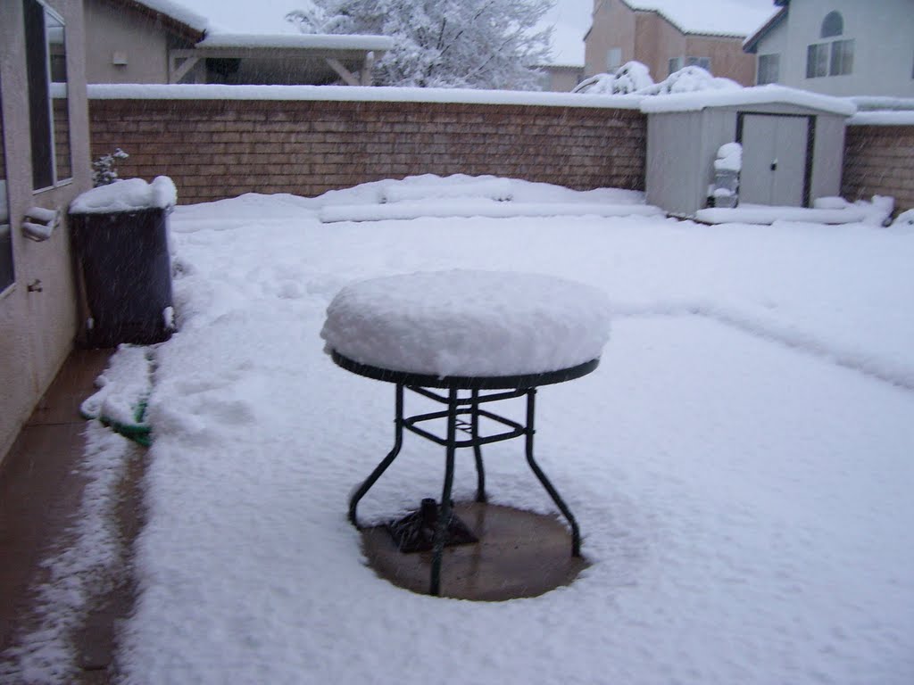 Snow storm in Palmdale, CA in 2008 by AngelMadelys