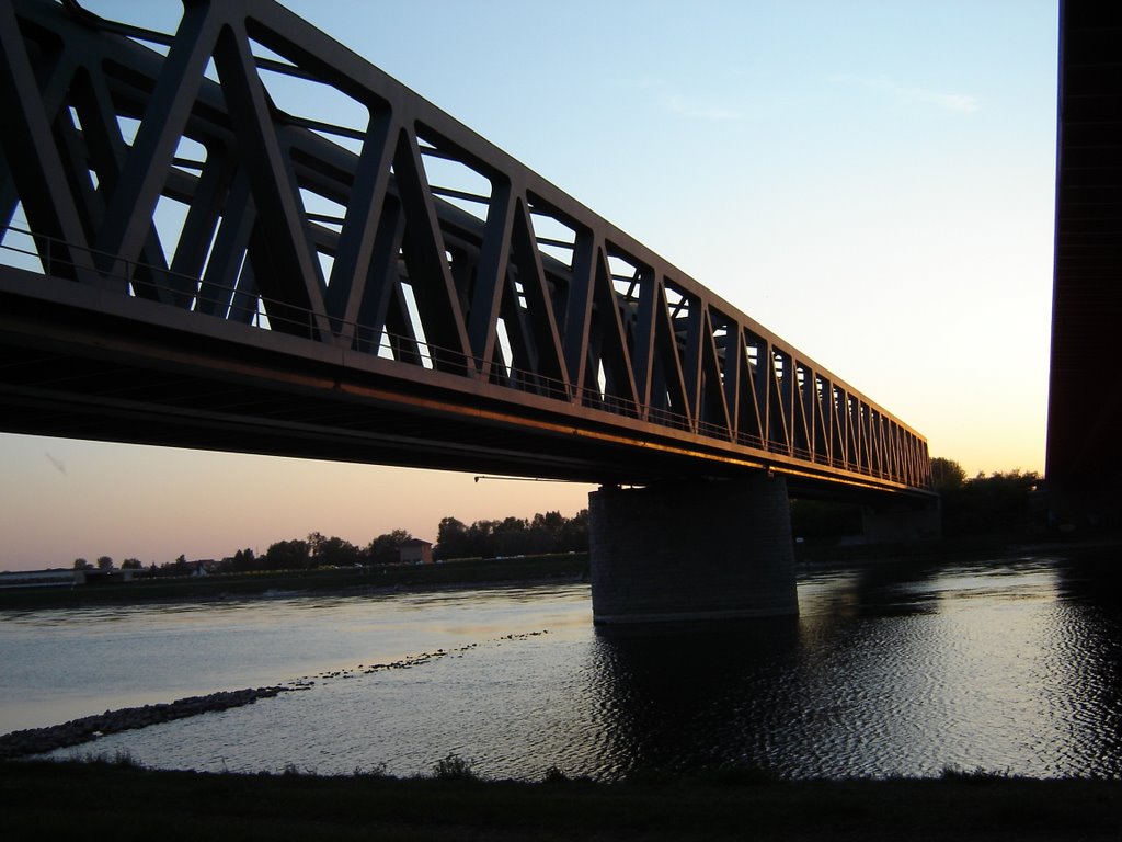 Bahnbrücke am Rhein bei Karlsruhe by Oldgrandpa