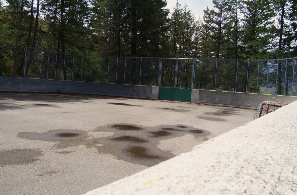 West end, Len Haughton Park rink by kuschk