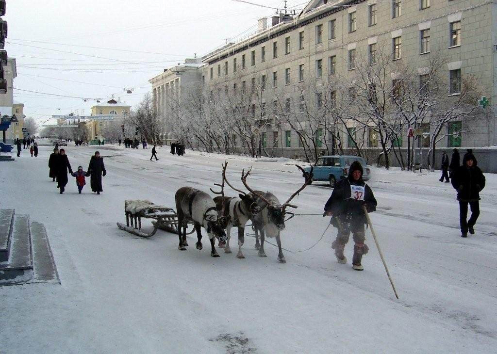 Олени в городе by Sergei Velbovets