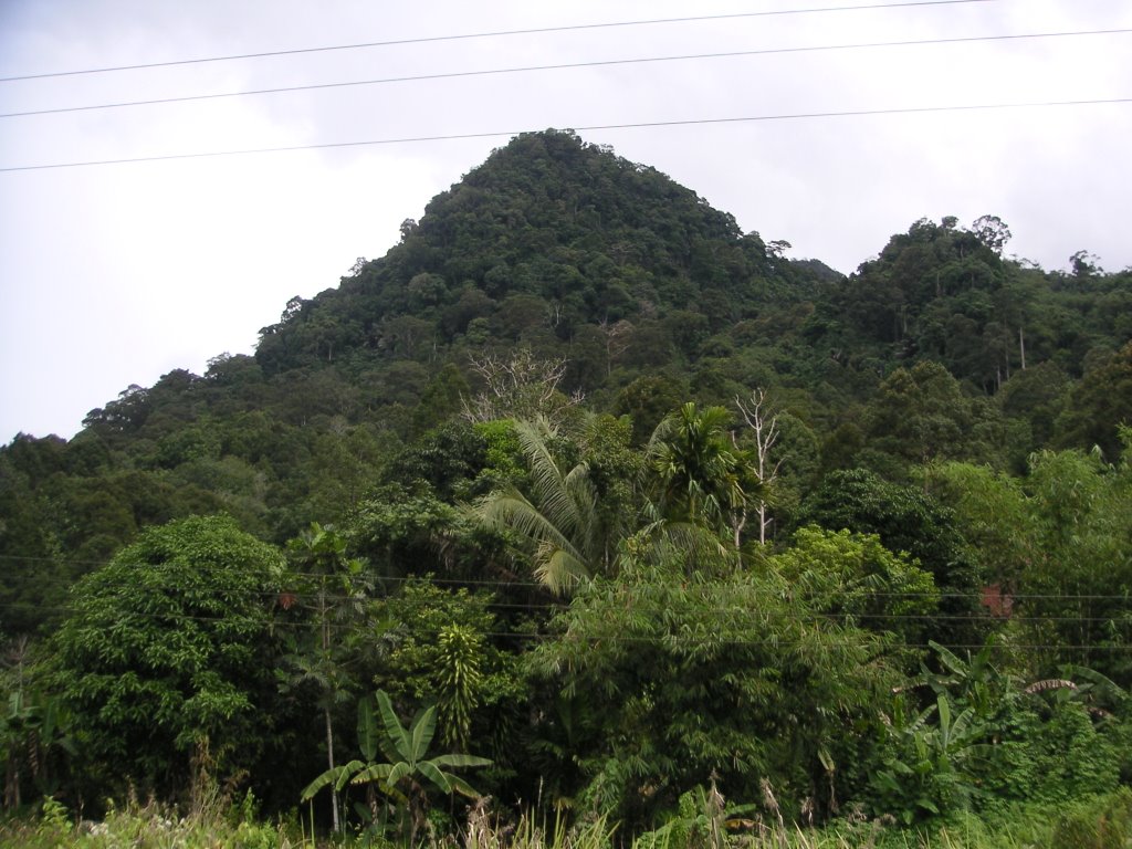 Gunung Mentuh Tapuh by 9m8cc