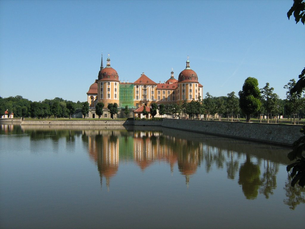 Dresden by Haci Ali