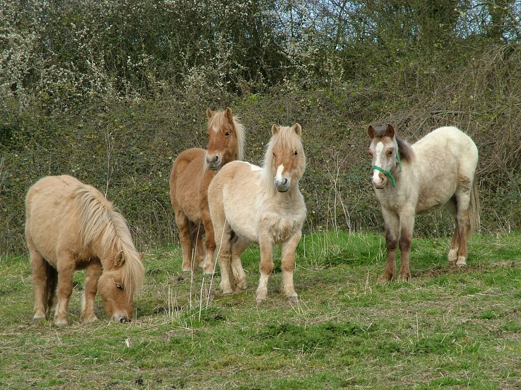 Une bande de potes. by Didier V