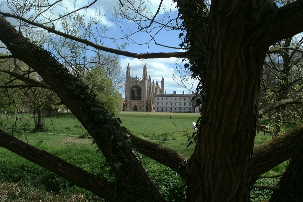 Cambridge - a view across the river by david.guest