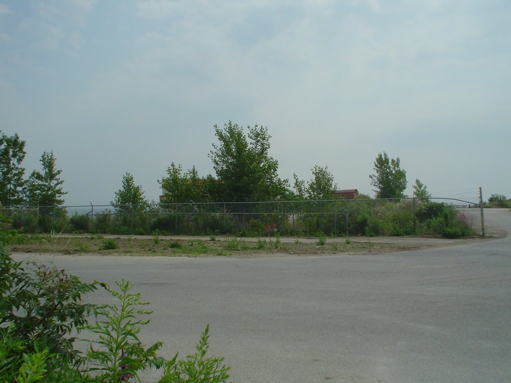 Leslie Street Spit by amorgan