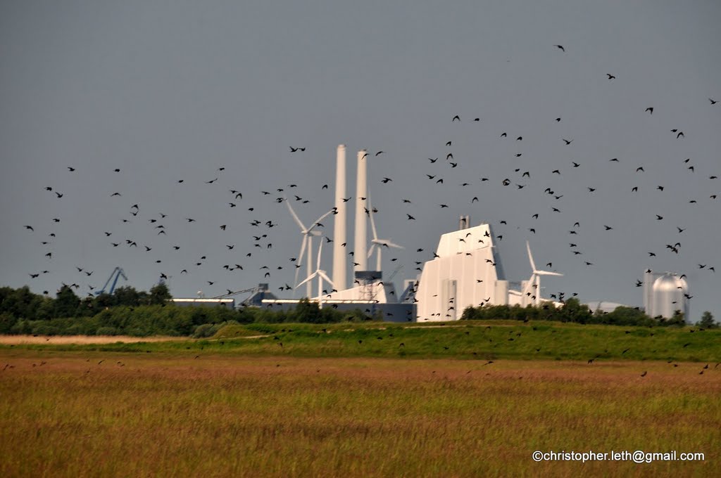 Starlings and Power Plant by christopher.leth@gmail.com