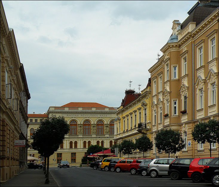 Sopron, Erzsébet utca by Tóthné Kulcsár Tünde