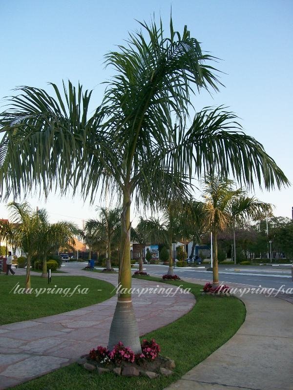 Paseo Costanera - Formosa Argentina by laury_spring