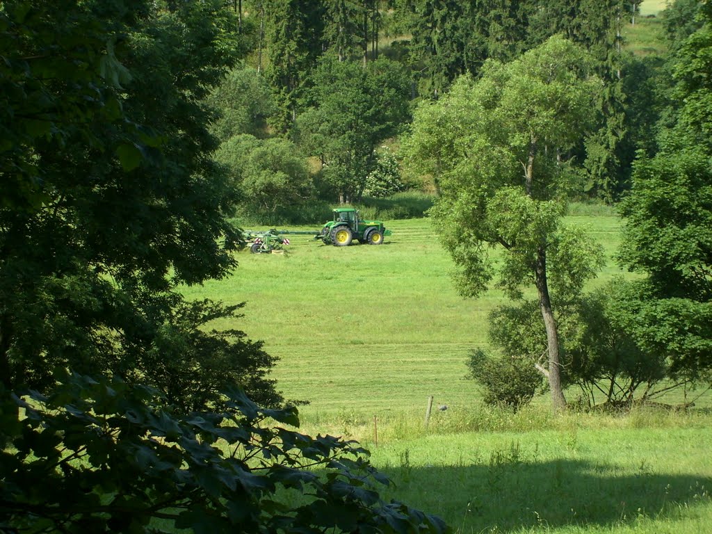 Bauer bei der Grasmahd by Uwe Klimpke