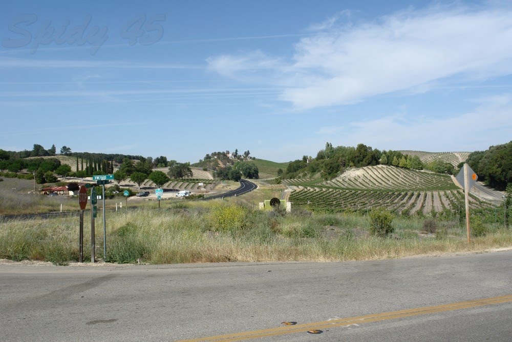 ZONA DE PASO ROBLES by TENERIFE SENDEROS