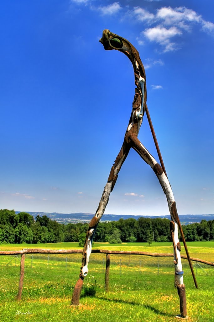 Ronroy - Tanzende Giraffe - Zoo Zürich (CH) by Strucki