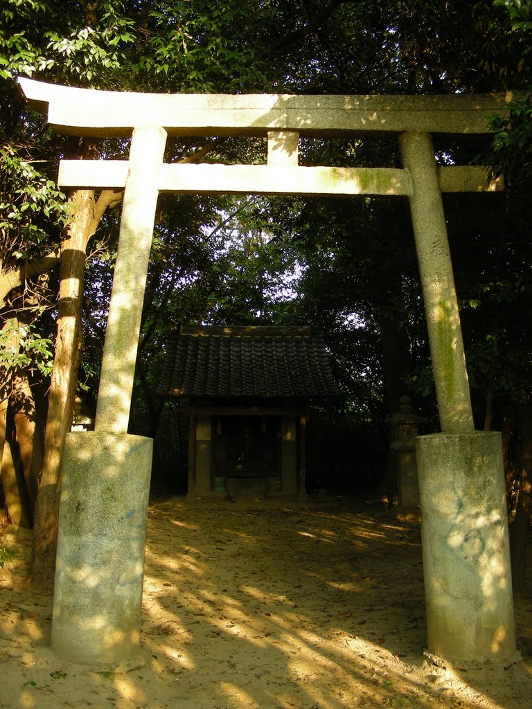 細屋神社鳥居 by ajax11574