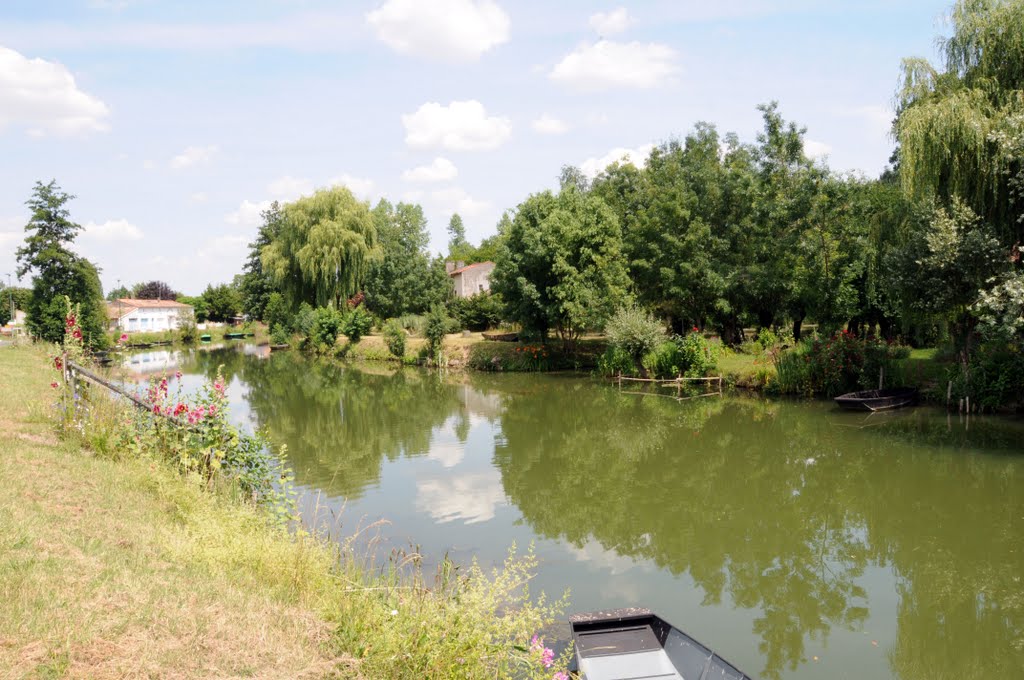 Les Marais Poitevins... by Jacques Rochet